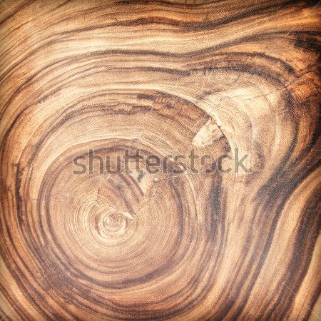 Каталог Фотообои дерево:  | Wall-Style