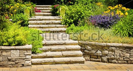 Каталог Фотообои парк:  | Wall-Style