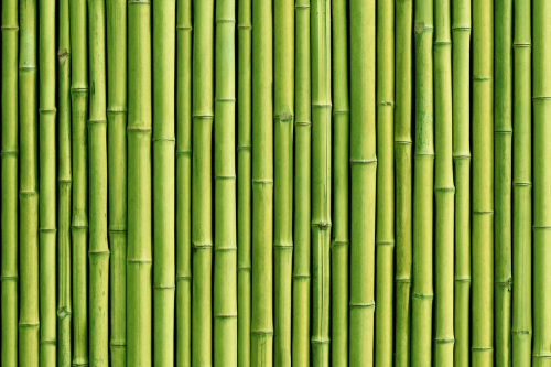 Каталог Фотообои длинный бамбук:  | Wall-Style