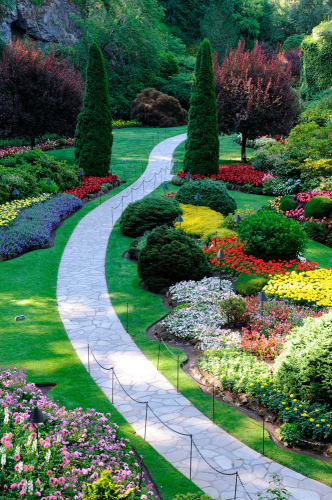 Каталог Фотообои тропинка в саду:  | Wall-Style