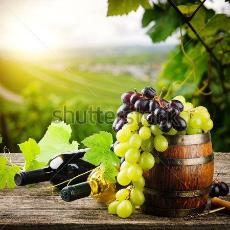Каталог Фотообои вино:  | Wall-Style