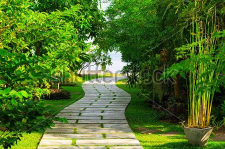 Каталог Фотообои парк:  | Wall-Style