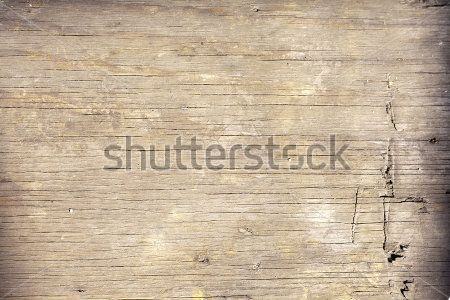 Каталог Фотообои дерево:  | Wall-Style