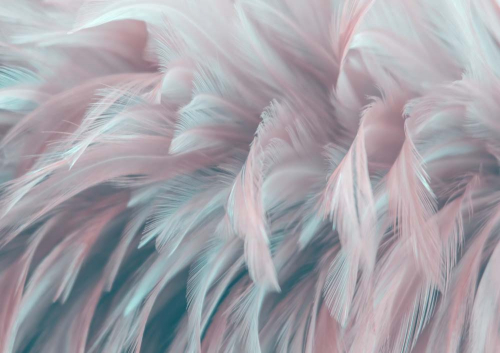 Каталог Картина светлые перья: Перья | Wall-Style