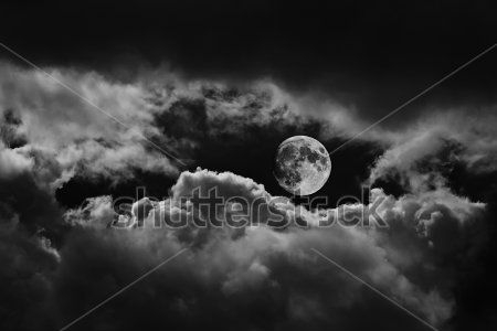 Каталог Фотообои луна:  | Wall-Style