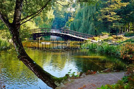 Каталог Картина парк: Природа | Wall-Style