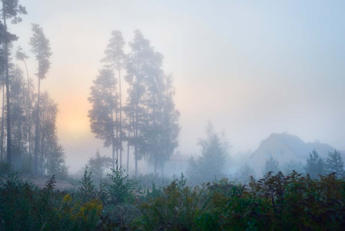 Каталог Фотообои туман:  | Wall-Style