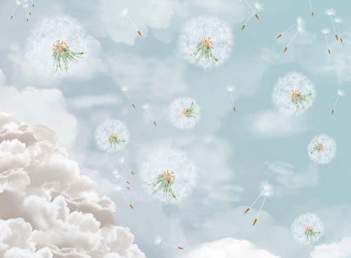 Каталог Картина одуванчики в небе: Цветы и растения | Wall-Style