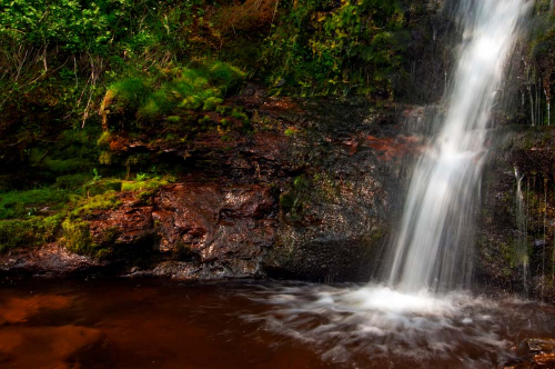 Каталог Фотообои водопад:  | Wall-Style