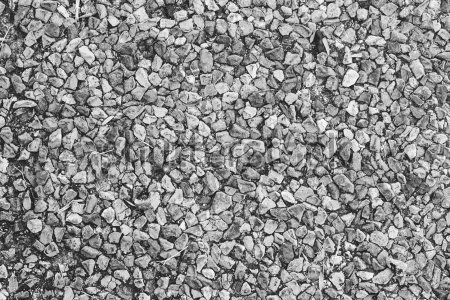 Каталог Фотообои бетон:  | Wall-Style