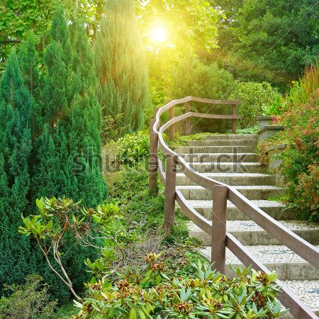 Каталог Фотообои парк:  | Wall-Style