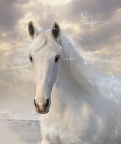 Каталог Картина лошади: Животные | Wall-Style