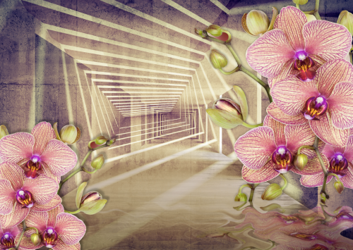 3d орхидея в тоннеле