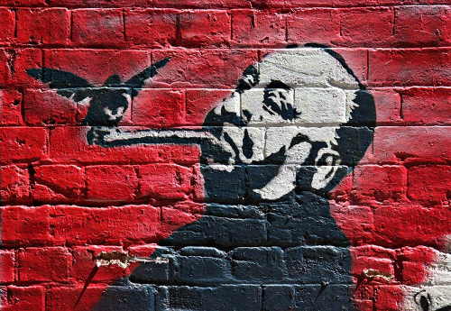 Каталог Картина щегол: Для подростка | Wall-Style