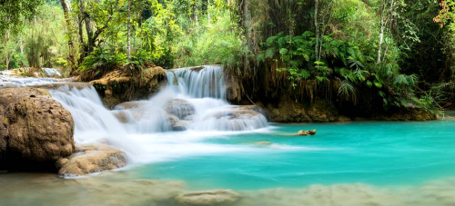 Каталог Картина панорама водопада : Панорамные | Wall-Style