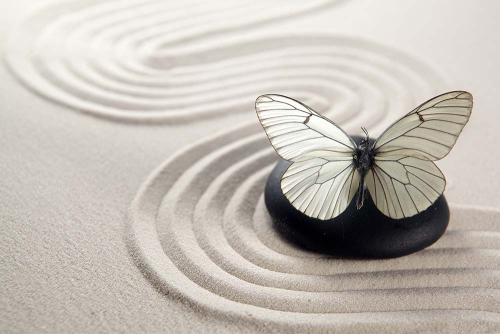 Каталог Фотообои бабочка на песке:  | Wall-Style