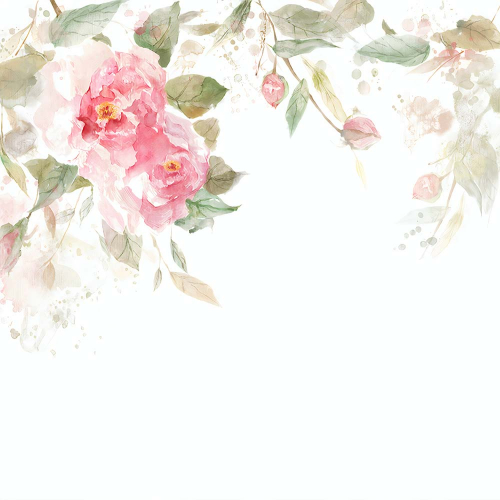 Каталог Картина розы на белом фоне: Цветы и растения | Wall-Style