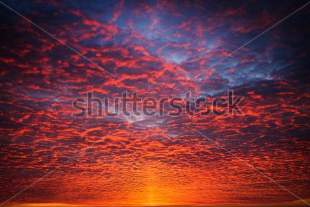 Каталог Фотообои небо:  | Wall-Style