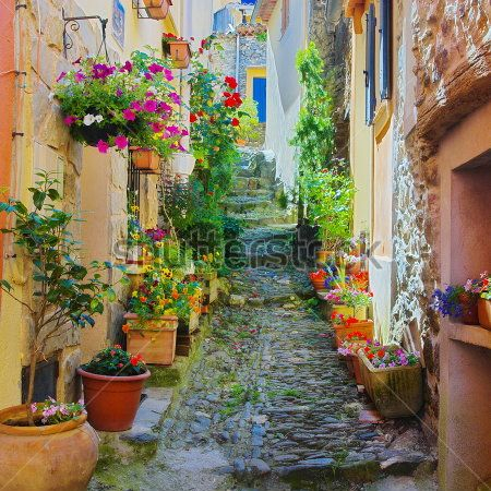 Каталог Фотообои прованс:  | Wall-Style