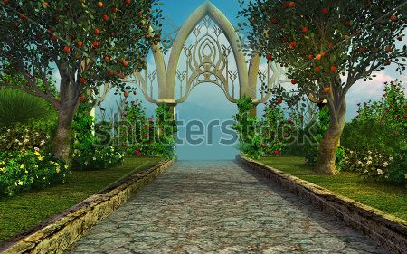 Каталог Фотообои фруктовый сад:  | Wall-Style