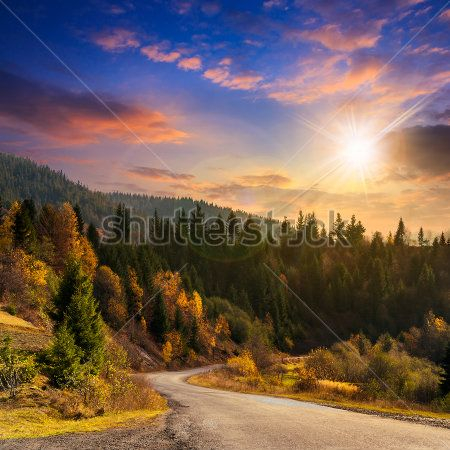 Каталог Картина лес: Природа | Wall-Style